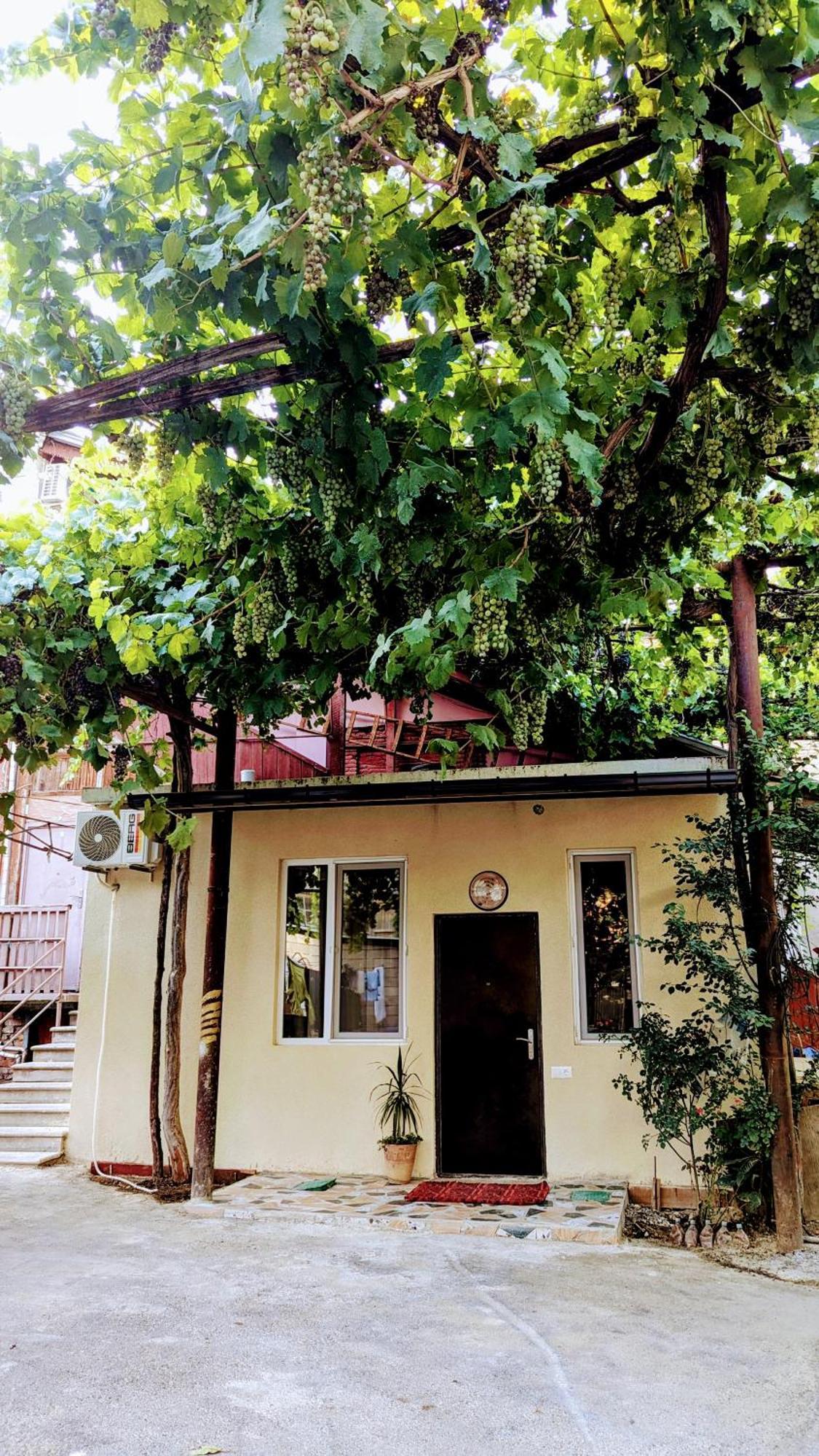 Green Corner Tbilisi Room photo
